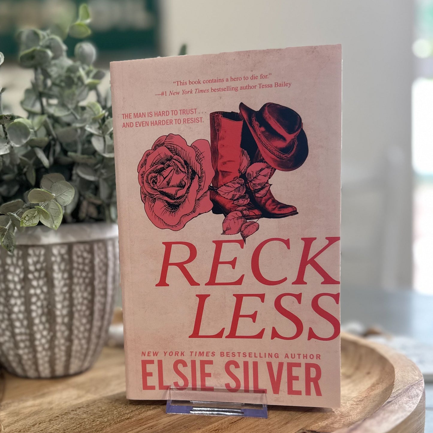 Reckless: Chestnut Springs #4