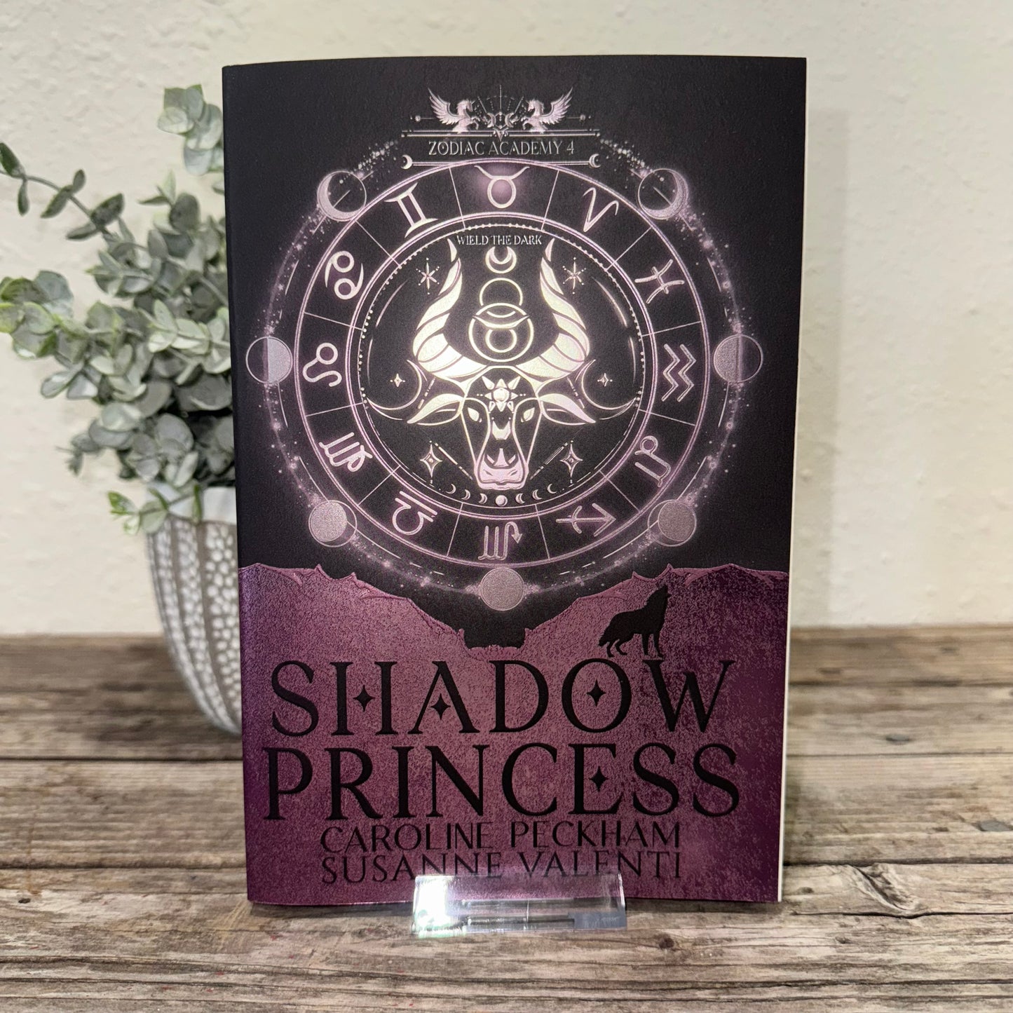 Shadow Princess: Zodiac Academy #4