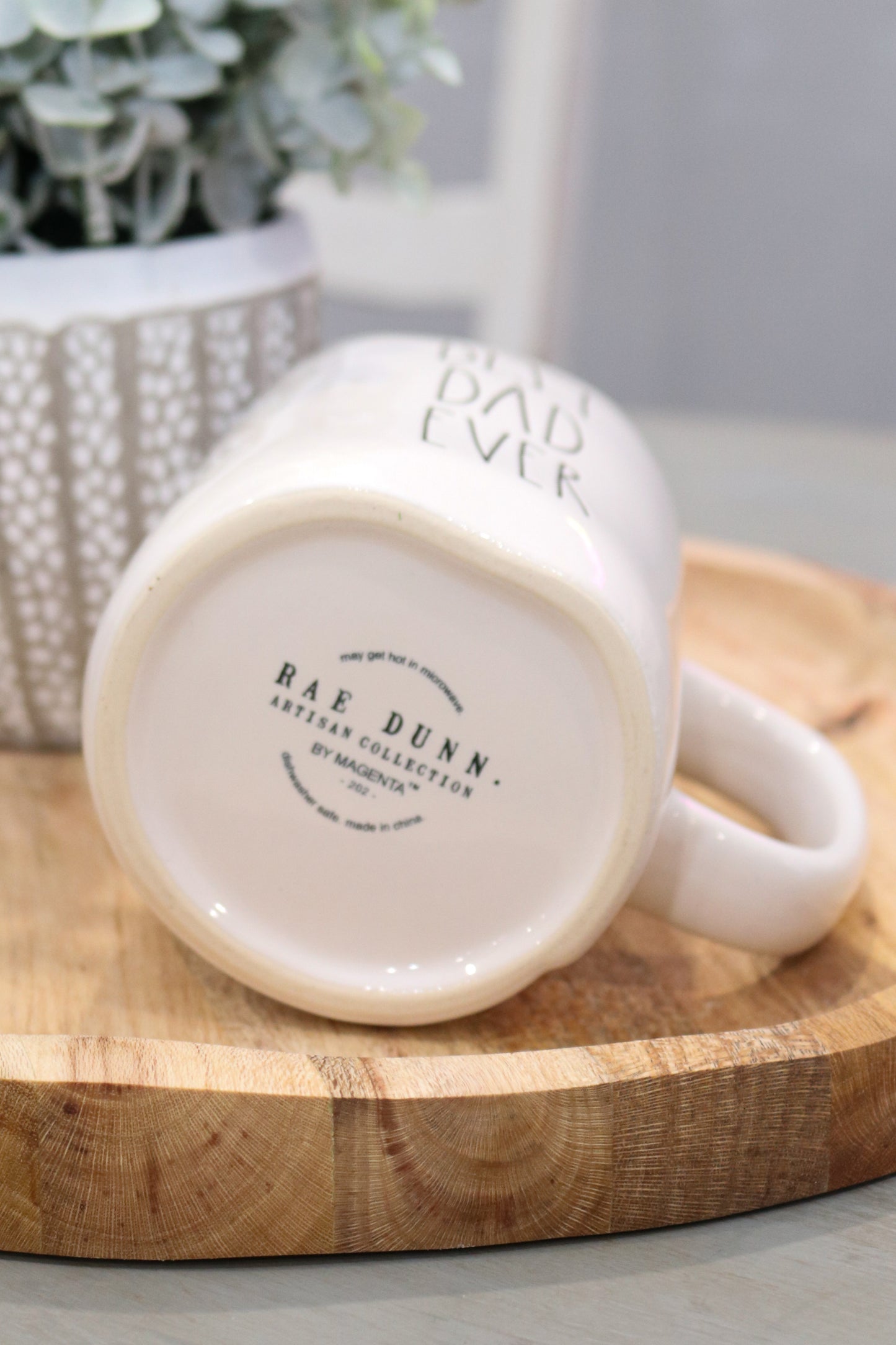 Best Dad Ever Rae Dunn Mug