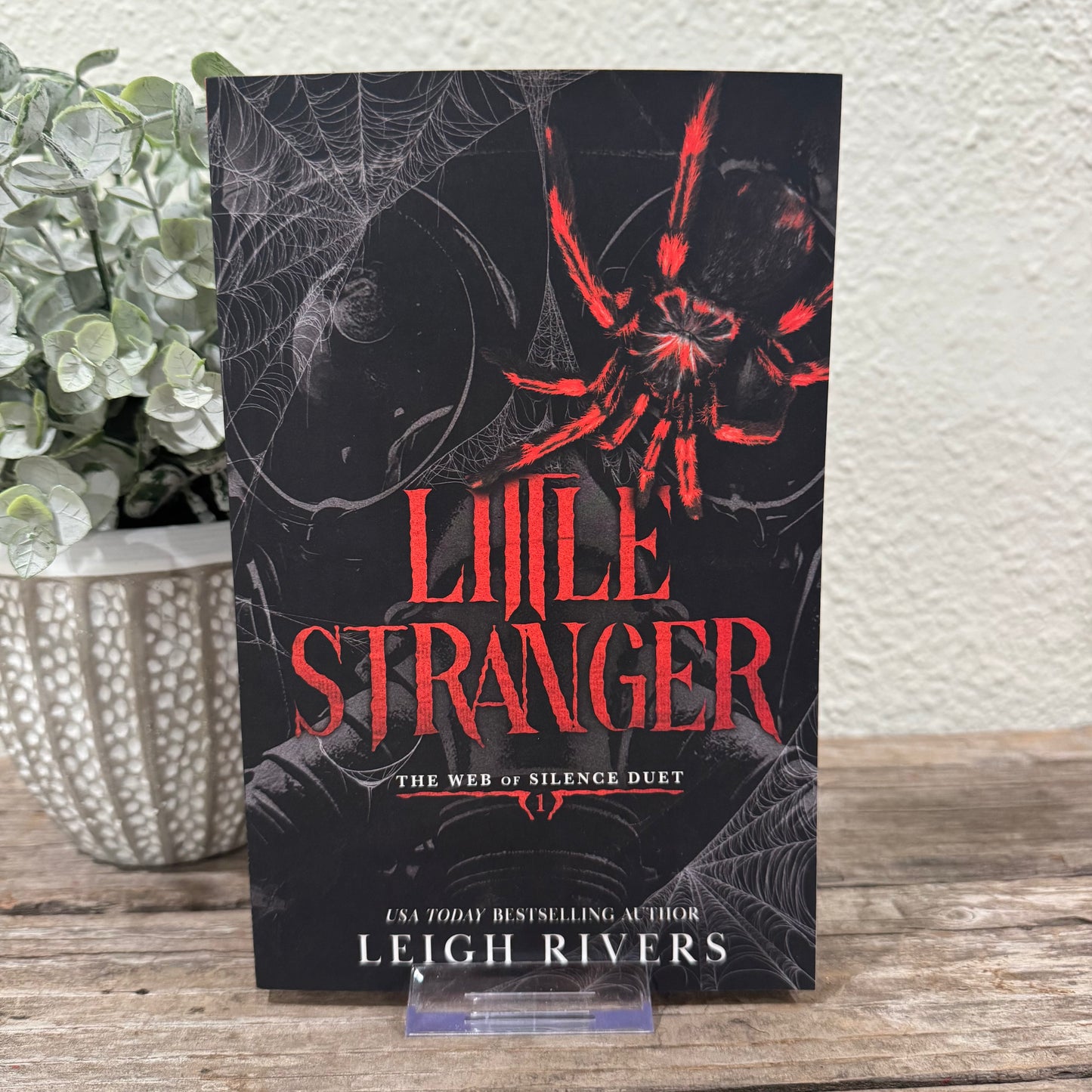 Little Stranger: The Web of Silence Duet #1
