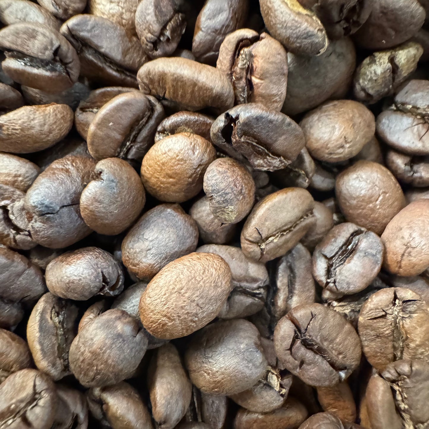 Brazilian Medium Roast