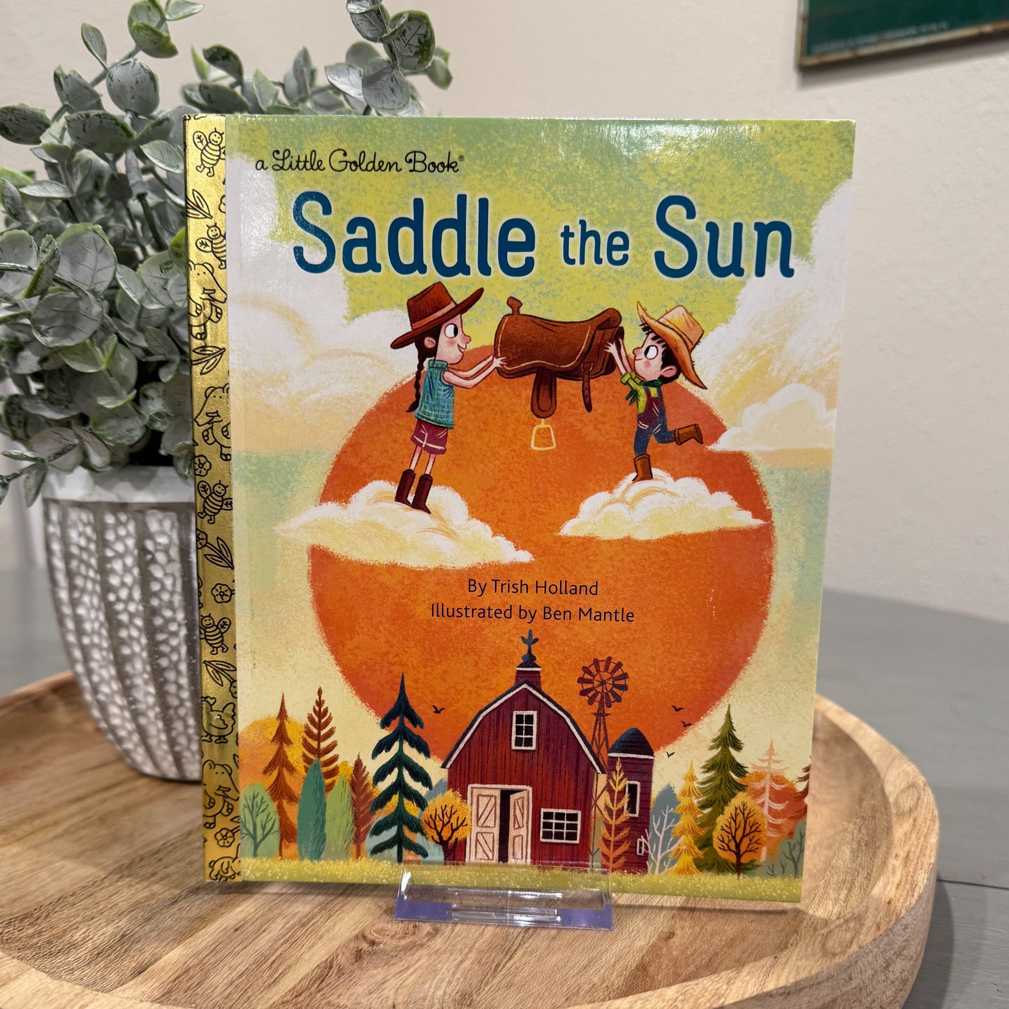 Saddle The Sun *Remainder