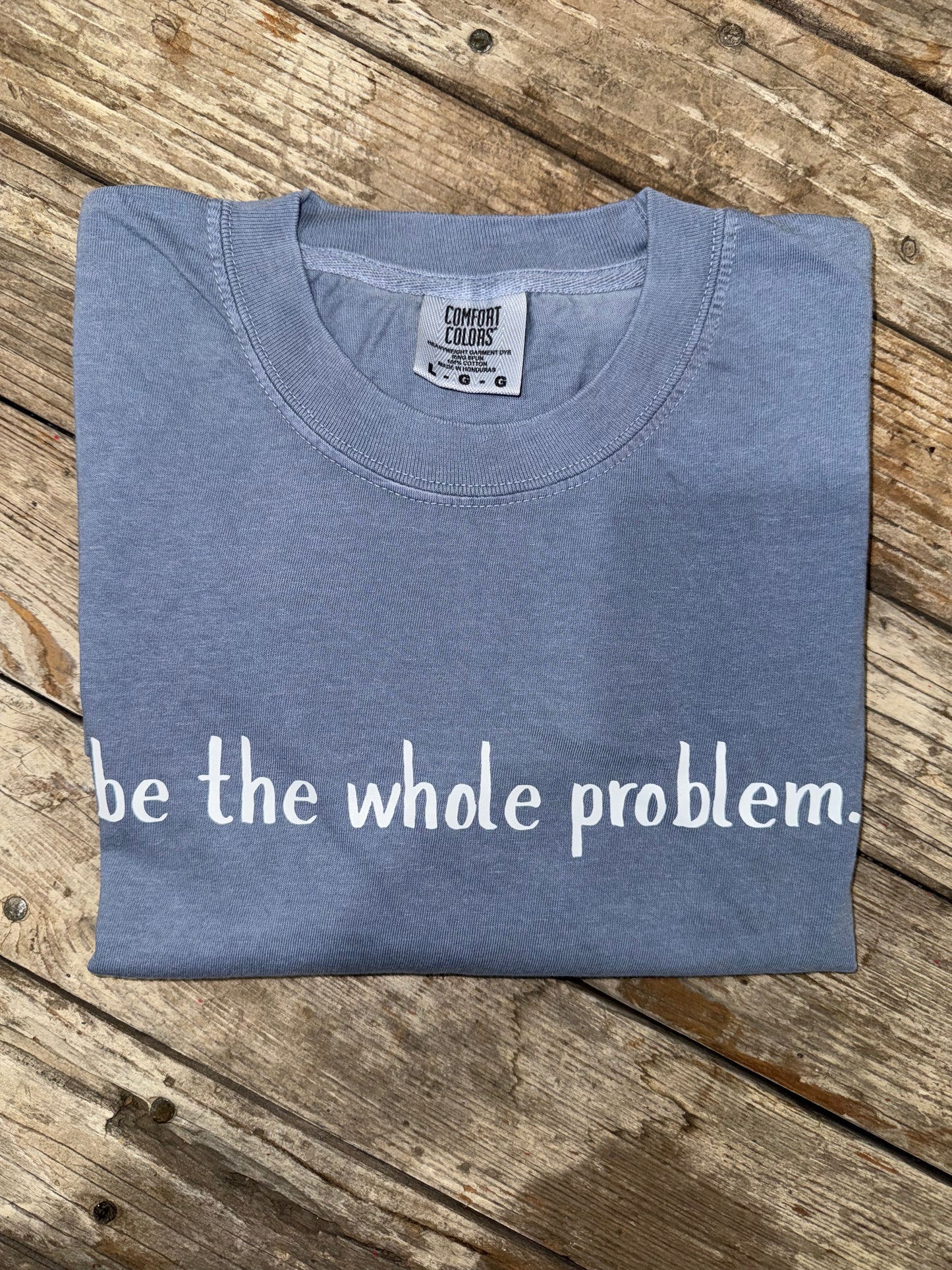 Be The Whole Problem Comfort Colors Graphic Tee