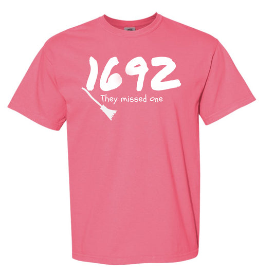 1692 They Missed One Comfort Colors Graphic Tee